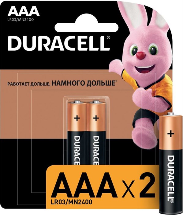 Батарея Duracell Basic CN LR03-2BL MN2400 AAA (2шт) - фото 11066